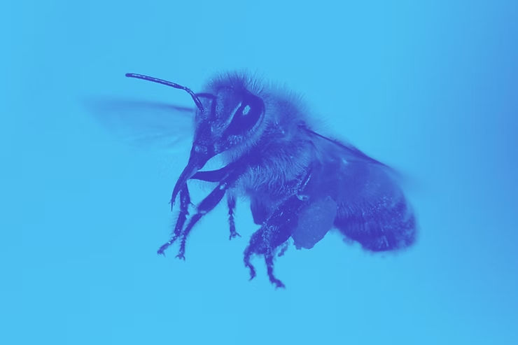 The Golden Era of Boutique Consulting Firms: A New Opportunity for Enterprise Efficiency